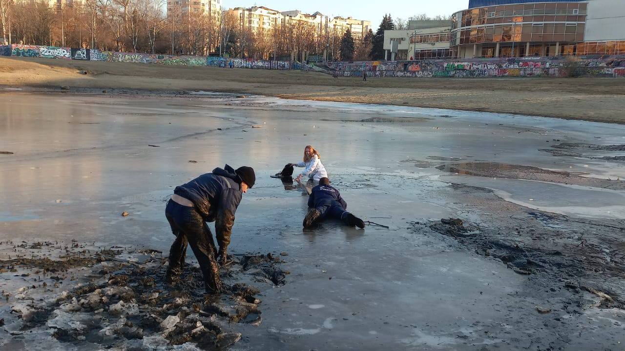 В Краснодаре спасатели достали подростка из ледяной полыньи